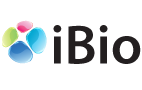 iBio