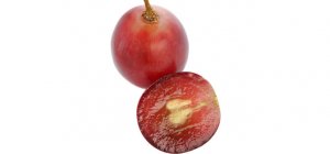 grape-seed-vs-wellmune-wgp-beta-glucan