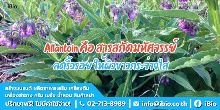 Allantoin คือ สารสกัดมหัศจรรย์ ลดริ้วรอย ให้ผิวขาวกระจ่างใส